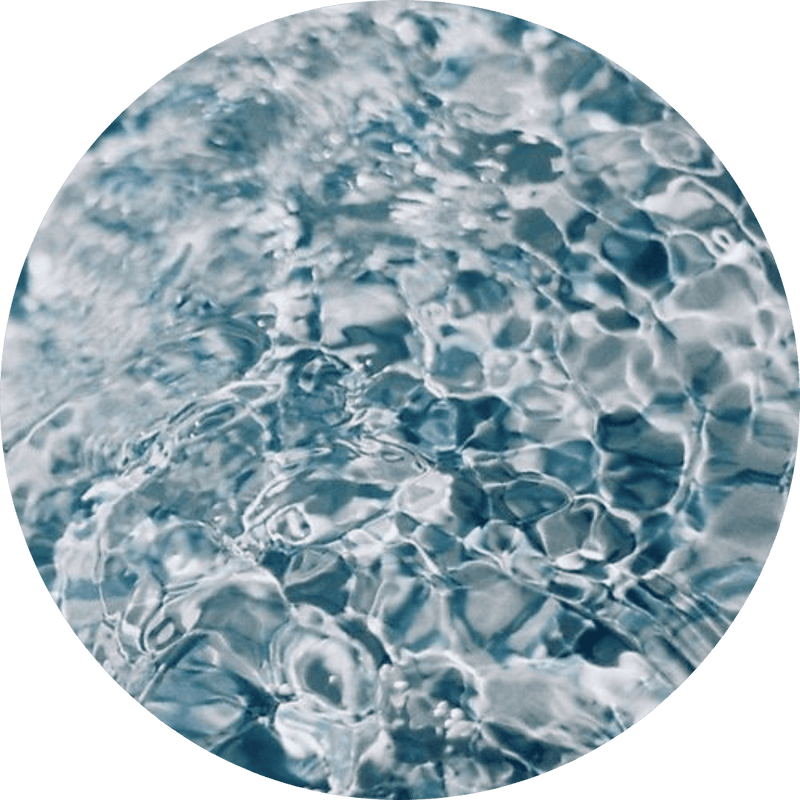 Purified Water