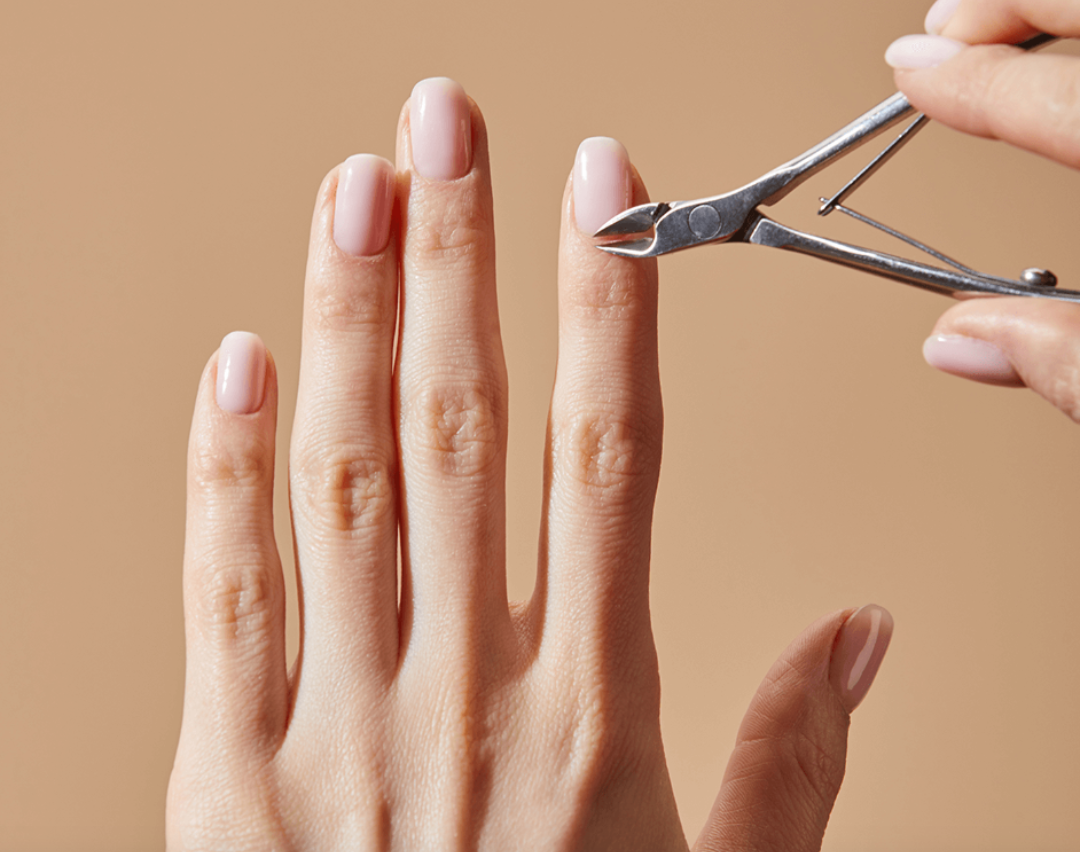 Trusted by Professionals,